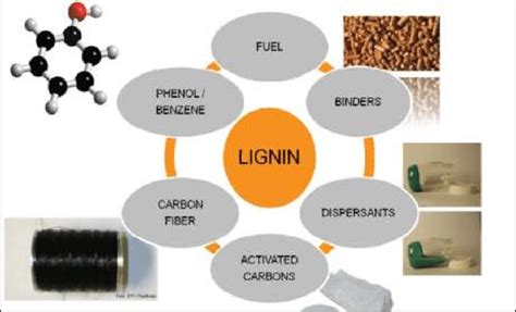 Lignin: Eine nachhaltige Alternative für Verbundwerkstoffe und Biokunststoffe!