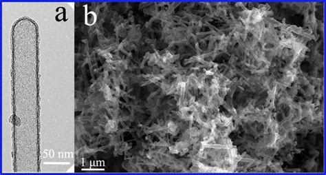 Wolframkarbid Nanoröhrchen: Ein wahrer Gigant der Materialwissenschaft!