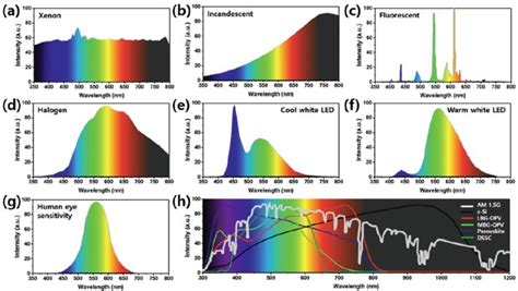  Xenon: Die Zukunft der energieeffizienten Beleuchtungstechnik und hochpräziser Analysen!